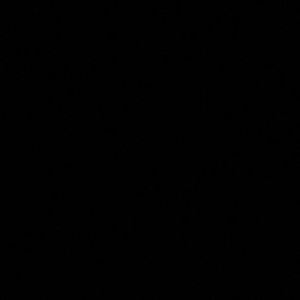 Meet your Posher, Will